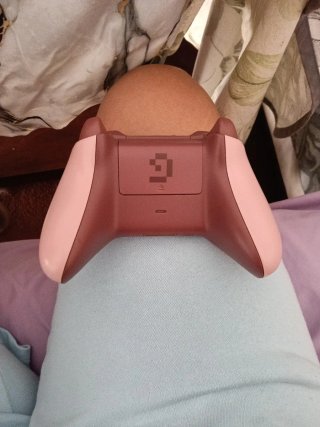Mando Xbox One Edición Especial Pig