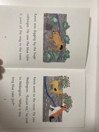 Libros para comprensión lectora en inglés