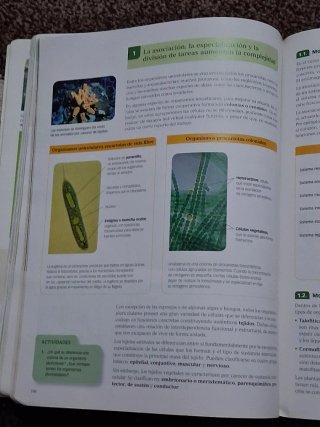 Libro de biología y geología 1ro de bachillerato