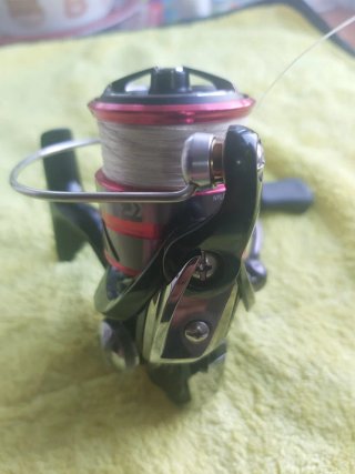 Shimano Siena y señuelos para egin todo junto