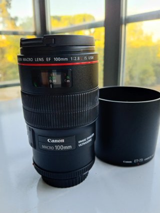 Canon EF 100mm f/2.8L Macro IS USM