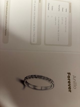 Anillo Forever BG Oro/Plata
