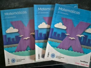 Lote libros de texto 5 primaria