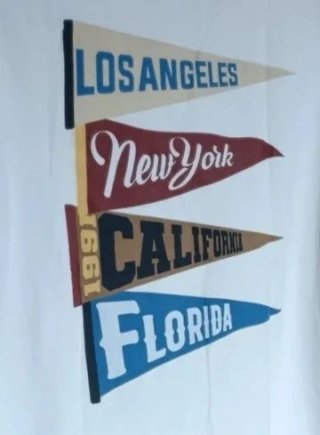 Camiseta Bershka Oversize Banderines USA XS