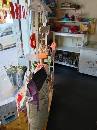 NEGOCIABLE Peluquería canina + tienda mascotas 12a