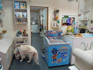 NEGOCIABLE Peluquería canina + tienda mascotas 12a