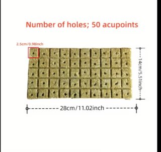 100 Cubos Cultivo Hidropónico Plantas