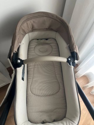 Carro Jane Muum 2023