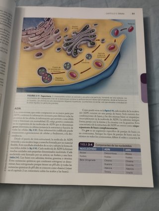Libro Estructura y función del cuerpo humano