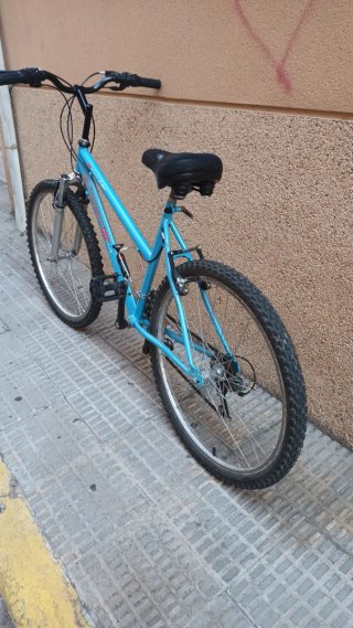 Bicicleta de montaña azul