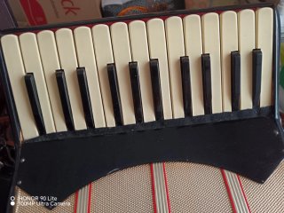 Acordeón Parrot 25 Teclas 12 Bajos