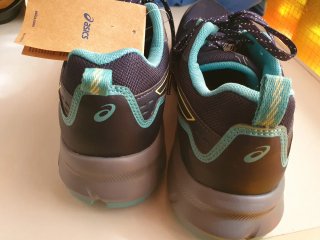 Zapatillas Asics Trail Scout 3 Azul/Turquesa