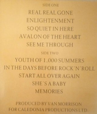 Vinilo Van Morrison Enlightenment