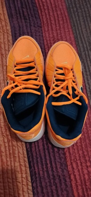 Zapatillas Baloncesto Nike Lebron Witness 9