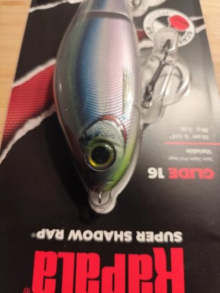 Señuelo Rapala Glide 16