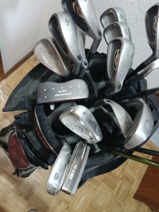 17 Palos de Golf y Carro Alta Gama