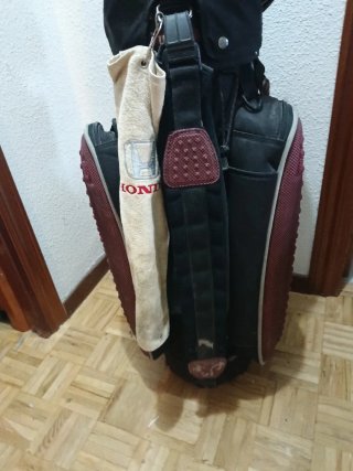 17 Palos de Golf y Carro Alta Gama