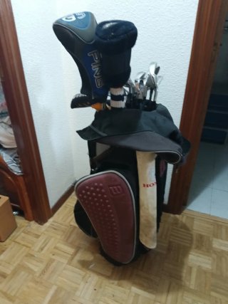 17 Palos de Golf y Carro Alta Gama