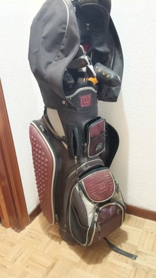 17 Palos de Golf y Carro Alta Gama