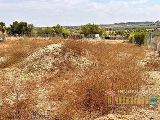 Terreno en venta en Rociana del Condado