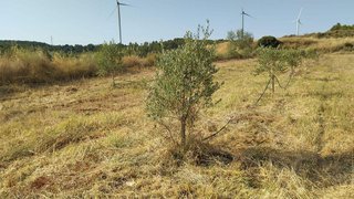 Terreno en venta en Vilalba dels Arcs