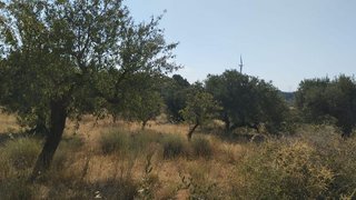 Terreno en venta en Vilalba dels Arcs