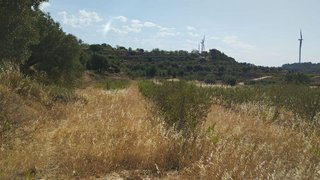 Terreno en venta en Vilalba dels Arcs