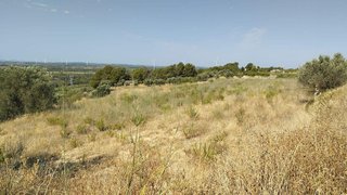 Terreno en venta en Vilalba dels Arcs