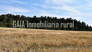 Casa rural en venta en Caspe