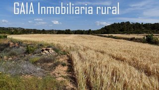 Casa rural en venta en Caspe