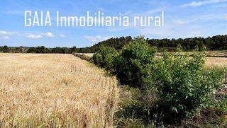 Casa rural en venta en Caspe