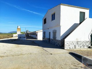 Nave industrial en venta en Campillos