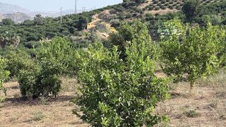 Terreno en venta en Pizarra