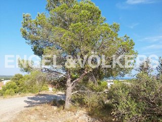 Solar en venta en Mont-Roig en Mont-Roig del Camp