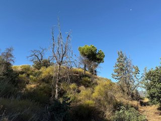 Terreno en venta en Campanillas en Málaga