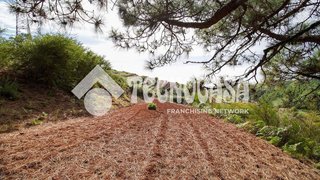 Terreno en venta en La Esperanza-Llano del Moro en Rosario (El)
