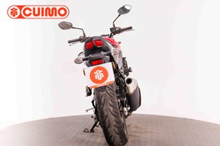 SUZUKI SV 650