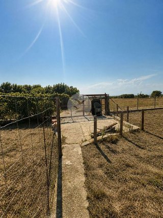 Terreno en venta en Pau