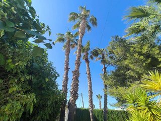 Chalet en venta en La Siesta - El Salado - Torreta en Torrevieja