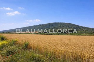 Terreno en venta en Manacor Centro en Manacor