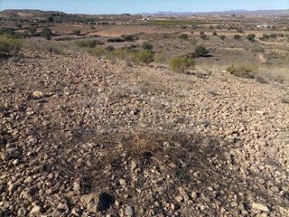 Solar en venta en Huércal-Overa