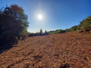 Terreno en venta en La Esperanza-Llano del Moro en Rosario (El)