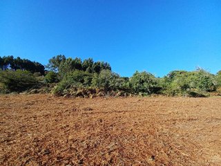 Terreno en venta en La Esperanza-Llano del Moro en Rosario (El)
