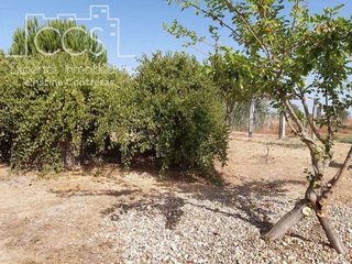 Casa rural en venta en Almonte en Almonte