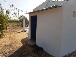 Casa rural en venta en Almonte en Almonte