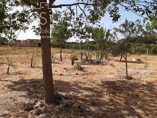 Casa rural en venta en Almonte en Almonte