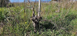 Terreno en venta en Santa María del Camí