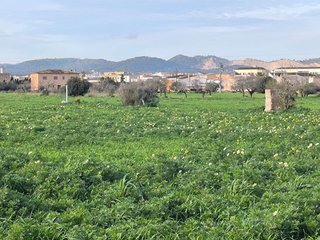 Solar en venta en Campos