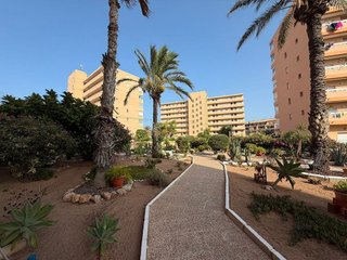 Piso en alquiler en Torrelamata - La Mata en Torrevieja