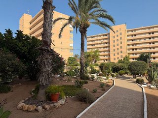 Piso en alquiler en Torrelamata - La Mata en Torrevieja